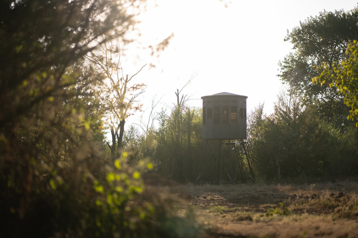 360 Pro XL hunting blind on a tower stand seen through trees at the edge of a field