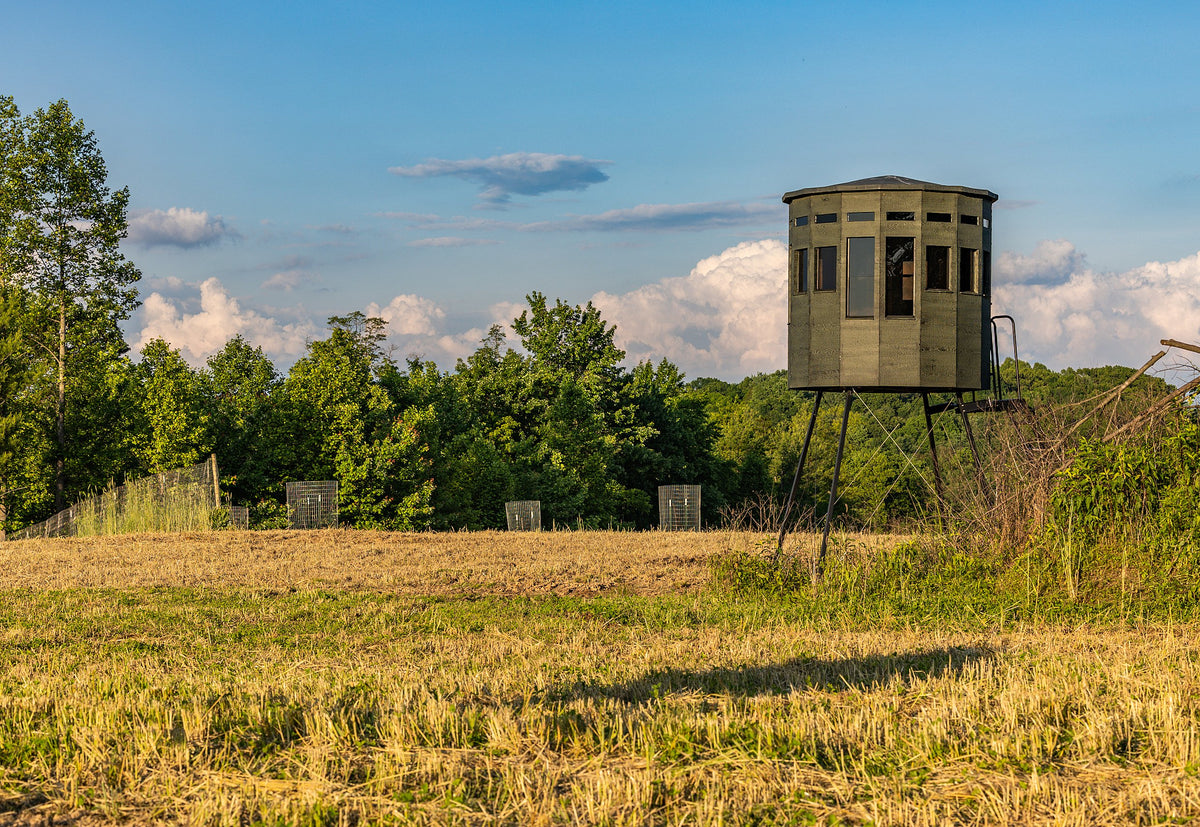 360 Pro XL hunting blind on a tall tower stand in a golden field under a blue sky with clouds