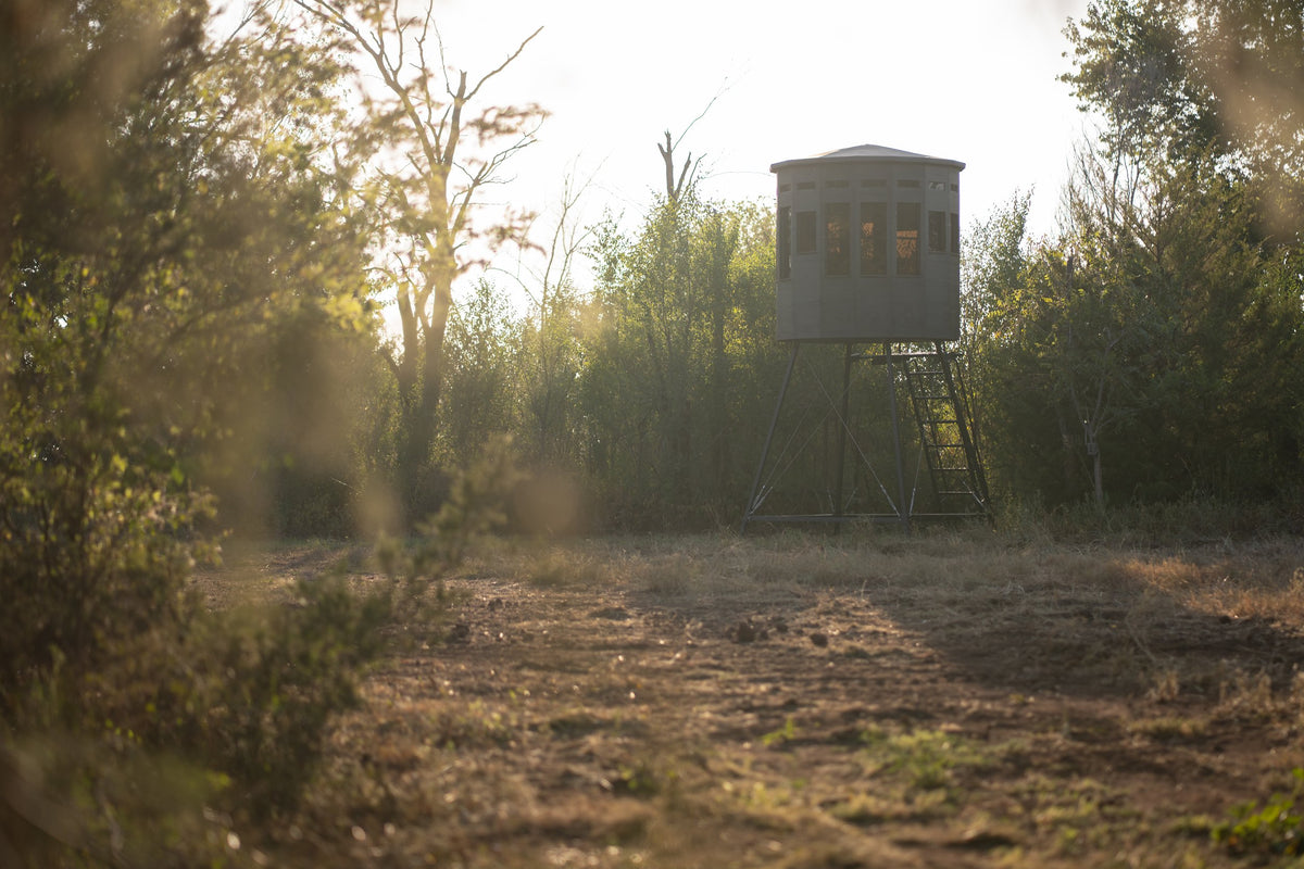 360 Pro XL hunting blind, a green and black hard-sided blind elevated on a tower stand in a sunlit clearing